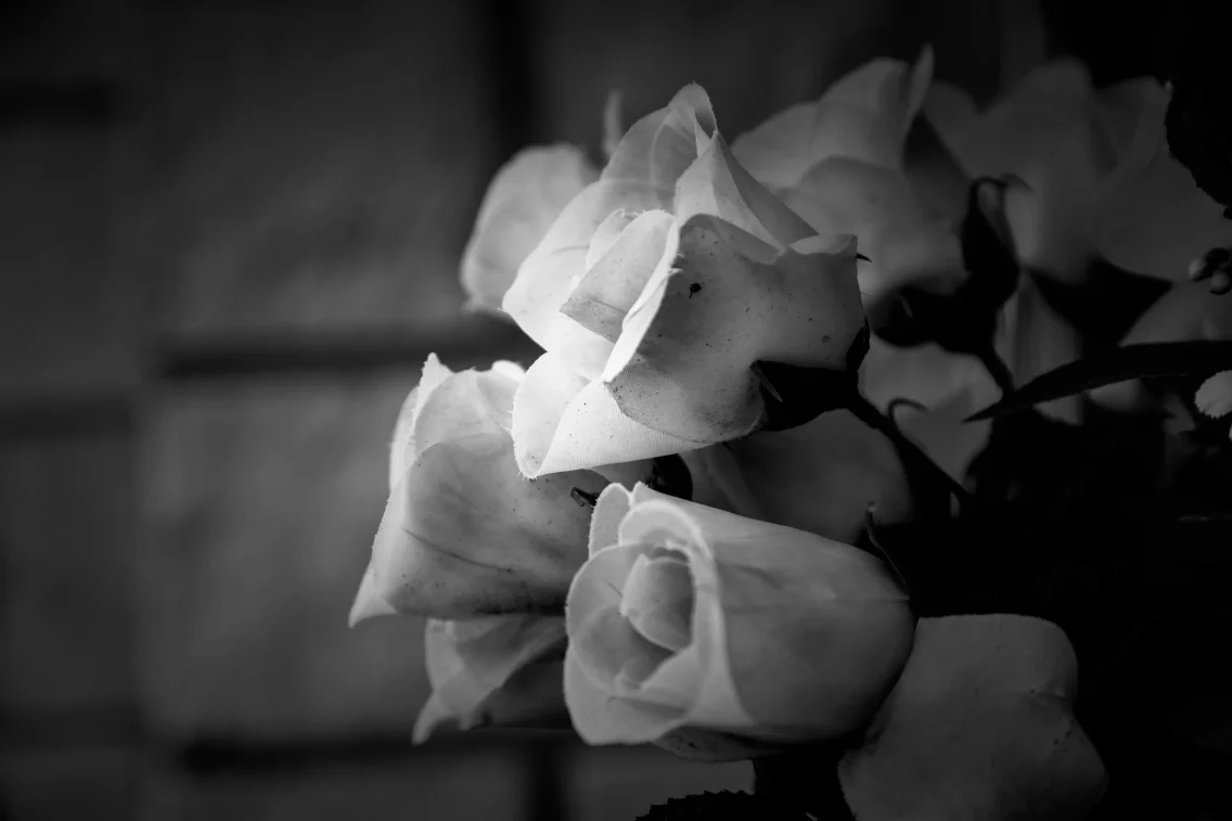 Trauerfeiern – In Würde Abschied nehmen