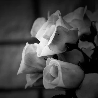 Kinderwillkommensfeste – Ein liebevoller Start ins Leben